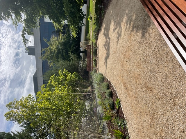 Stone path with two benches and lots of greenery